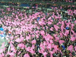 Stade fans 2008